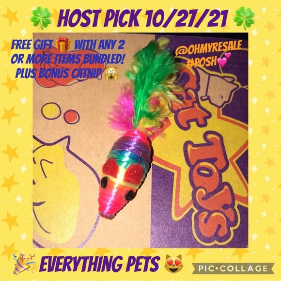 Rainbow ๐ feather tailed mouse ๐ cat toy and catnip bonus - Picture 8 of 13